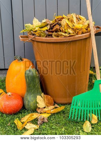 Pile of dead fall leaves dumped into plastic bin, pumpkins and fan rake resting against wooden shed