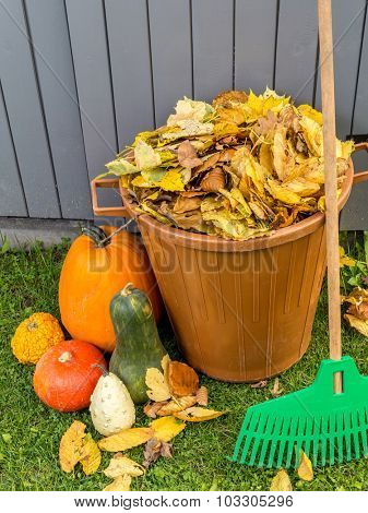 Pile of dead fall leaves dumped into plastic bin, pumpkins and fan rake resting against wooden shed