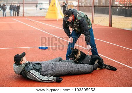 German shepherd dog training in Gomel Regional sports club and d