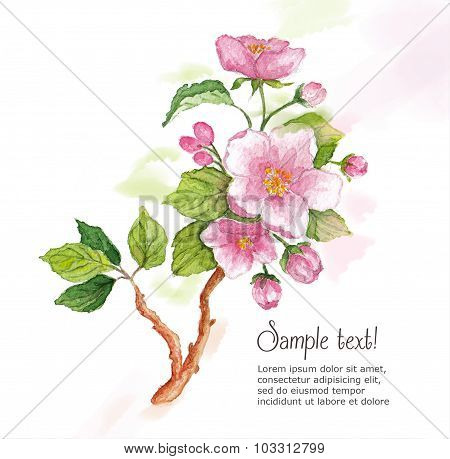 Template for greeting card  whit watercolor cherry blossoms