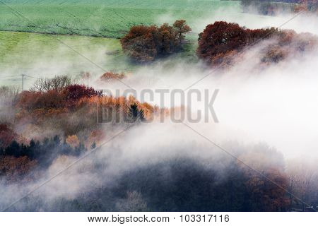 Foggy Woods And Fields
