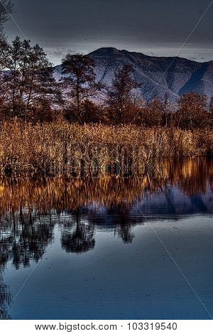 Abstract  Autumn Lake