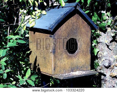 nest