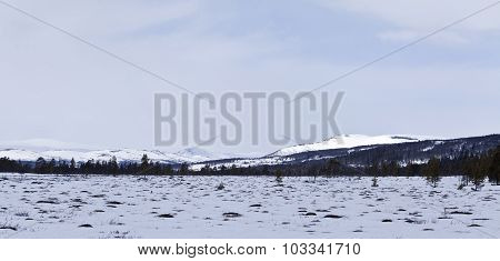 Some open spots on snowy bogland.