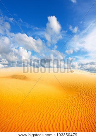 desert landscape