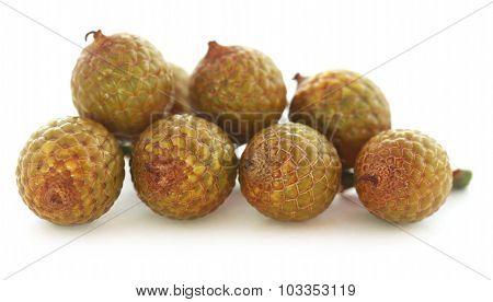 Tropical Calamus Palm Fruits