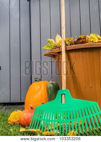 Pile of dead fall leaves dumped into plastic bin, pumpkins and fan rake resting against wooden shed