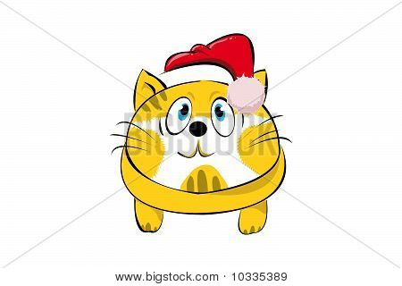 Gatto ridicolo