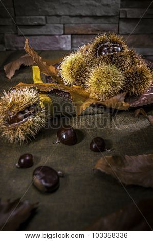 Chestnuts in autumn