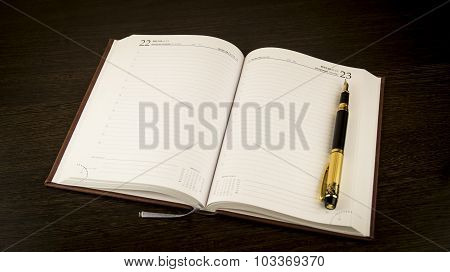 diary and fountain pen