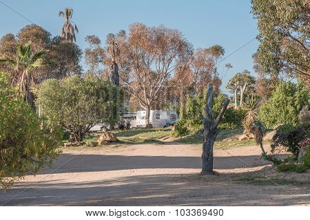 Early Morning At The Verbe Caravan Park