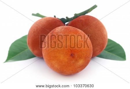 Velvet Apples