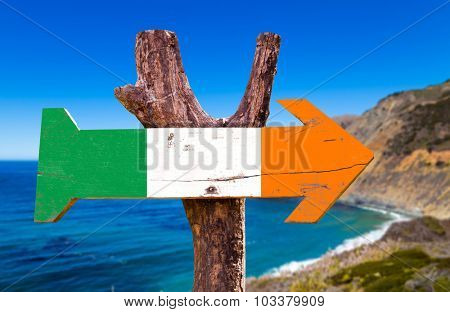 Ireland flag wooden sign with coast background