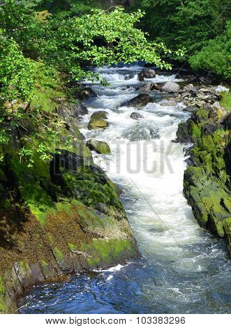 Ketchikan Creek Runs Through The Downtown