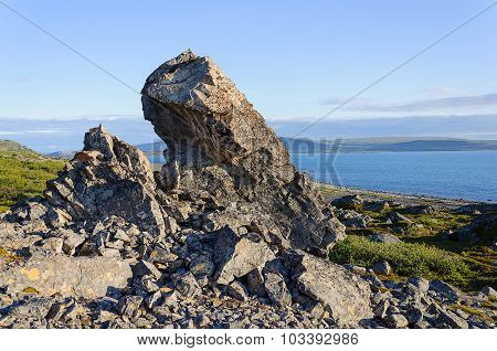 Summer Tundra Landscape With Big Stone On The Seacoast
