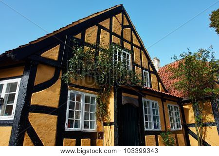 Traditional Old Danish House
