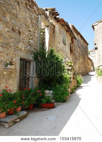 Street In Pican