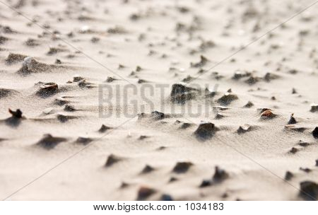 칼 날 달린 비치
