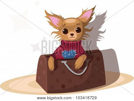 Chihuahua In The Bag