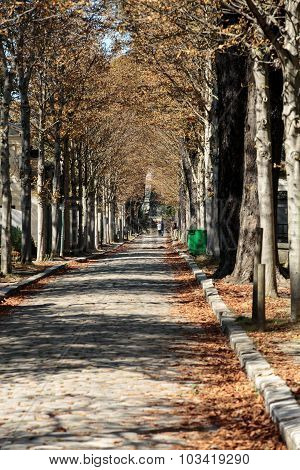 PARIS FRANCE - SEPT 12 2014:Pere Lachaise cemetery in Paris France