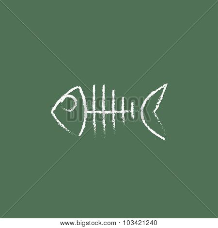 Fish skeleton hand drawn in chalk on a blackboard vector white icon isolated on a green background.