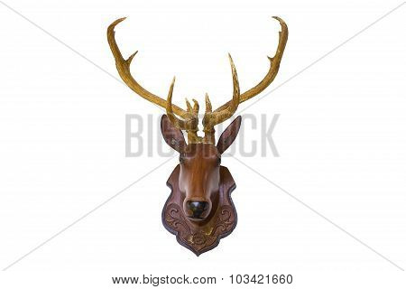 Head Deer Isolated With  Background