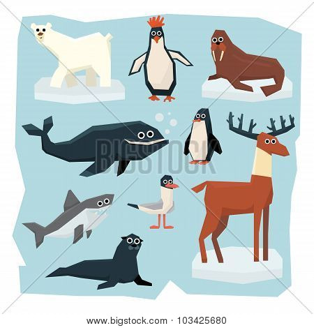 Arctic and Antarctic Animals, Fish Set