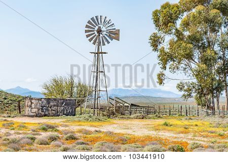Windmill, Dam And A Kraal