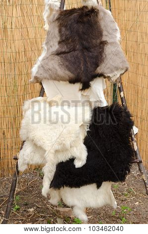 Goatskins