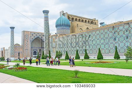 The Ornamental Garden