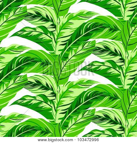 Tropical floral pattern
