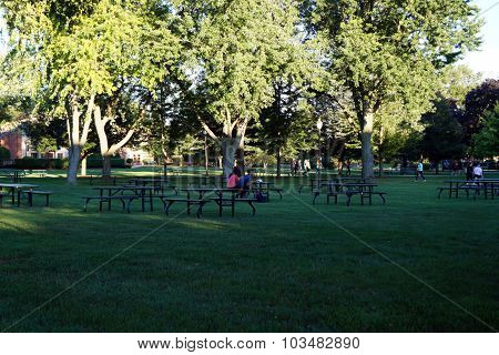 Picnic Tables
