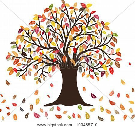 Autumn Tree