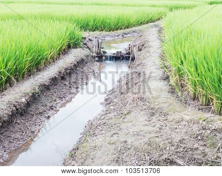 Small Water Dam