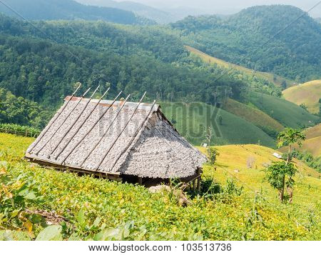 The Country Bamboo Hut