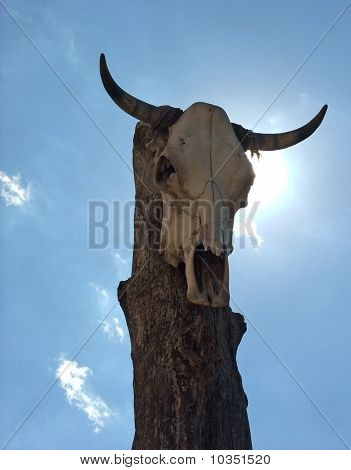 Totem
