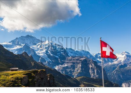 View Of Jungfrau From Mannlichen