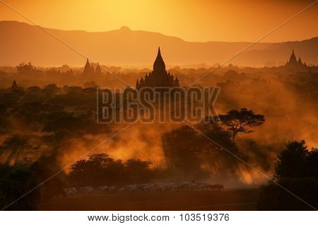 Bagan At Sunset