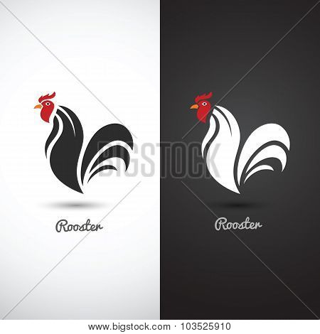 Rooster