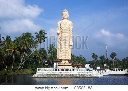 Buddha Statue