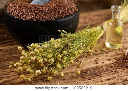 Bunch Of Flax Dried Flower In Front Of Mortar