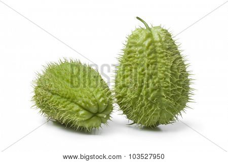 Whole spined fresh chayote fruit on white background