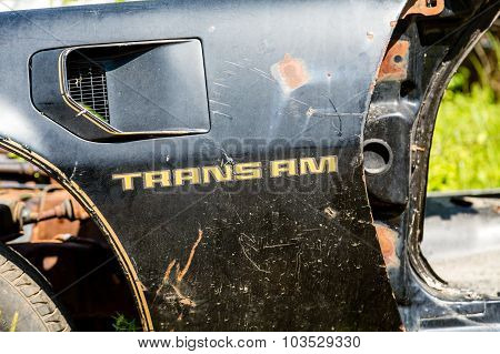 Trans Am Fender