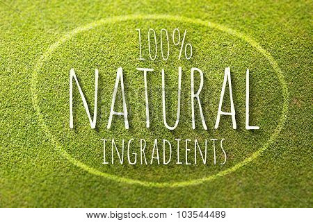 100% Natural Ingradients On Green Grass Poster, Illustration Healthy Food