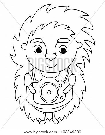 hedgehog