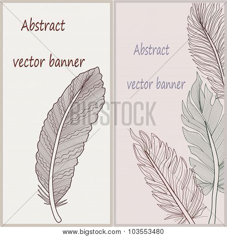feathers