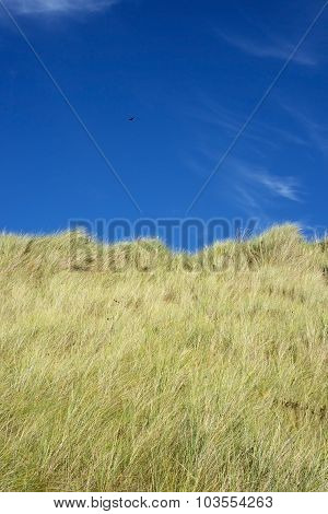 Large Green Sand Dunes And Blue Sky