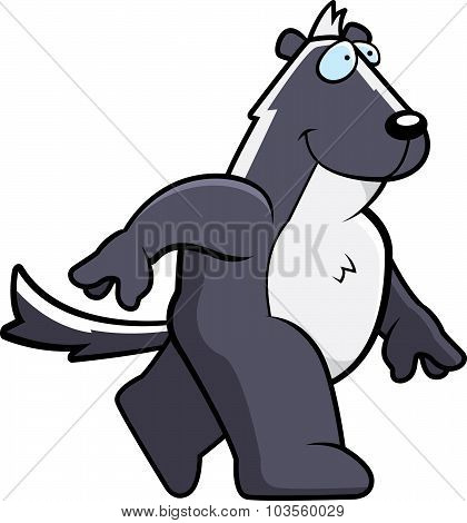 Skunk Walking