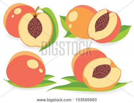 Peaches Vector Illustrations