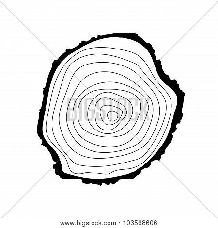 tree rings icon
